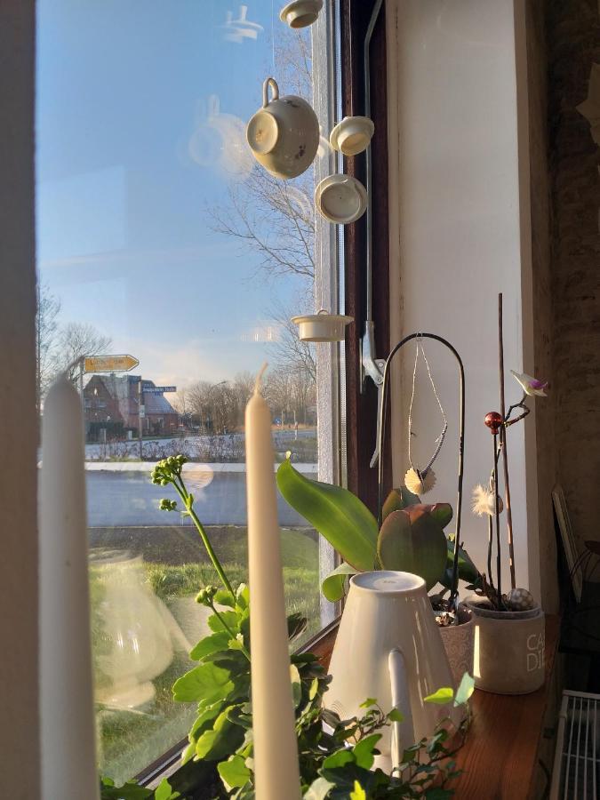 Ahoi Bed & Breakfast Wesselburenerkoog ภายนอก รูปภาพ
